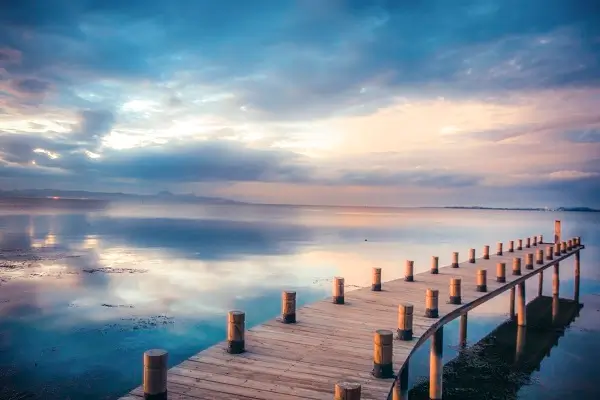 江西预招生有哪些学校