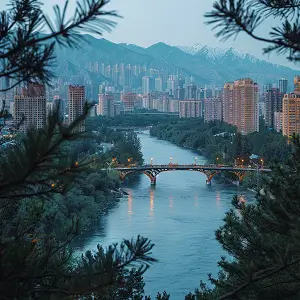 软件学院招生多的学校