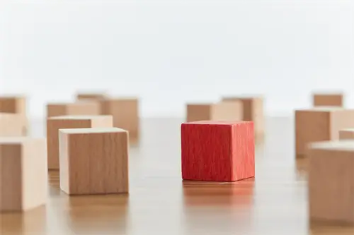 东港实验学校招生方案